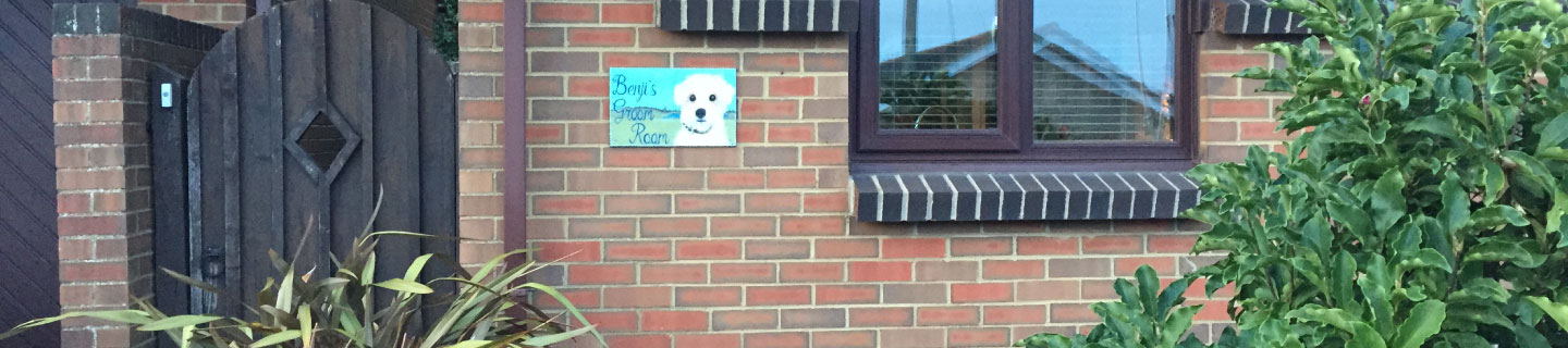 Pet Groomer Monkton Kent